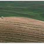 hay_bale