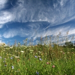 032-copy-web-700_0