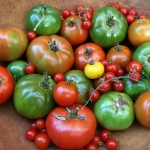 img_5782-tomato-worked-copy-700
