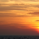 img_0883-copy-700