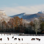 img_1232-700-copy