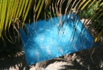 img_5976-copy_web