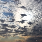 thumbs_070_web