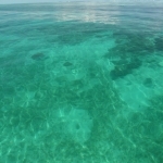thumbs_cattrell_key_vertical