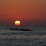 thumbs_img_1334_web