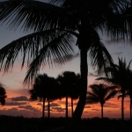 thumbs_img_3388-copy_web