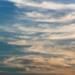 thumbs_img_6498-copy_web