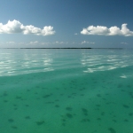 img_8195-copy_web