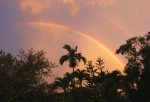 017_rainbow_saturated_web