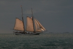 IMG_8751_800