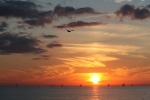 IMG_9186-2_800