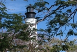 dscn3358_web