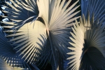 img_6268-700-copy