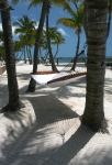 img_6943-copy_web