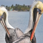 187_CROPPED_tonemapped_800