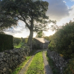 2_IMG_8503_tonemapped_800