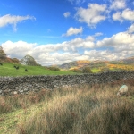 IMG_9120_tonemapped_800