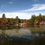 new-island-pond-img_3819-worked-copy-700