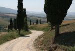 Tuscan Path