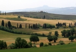 Tuscan Hillside